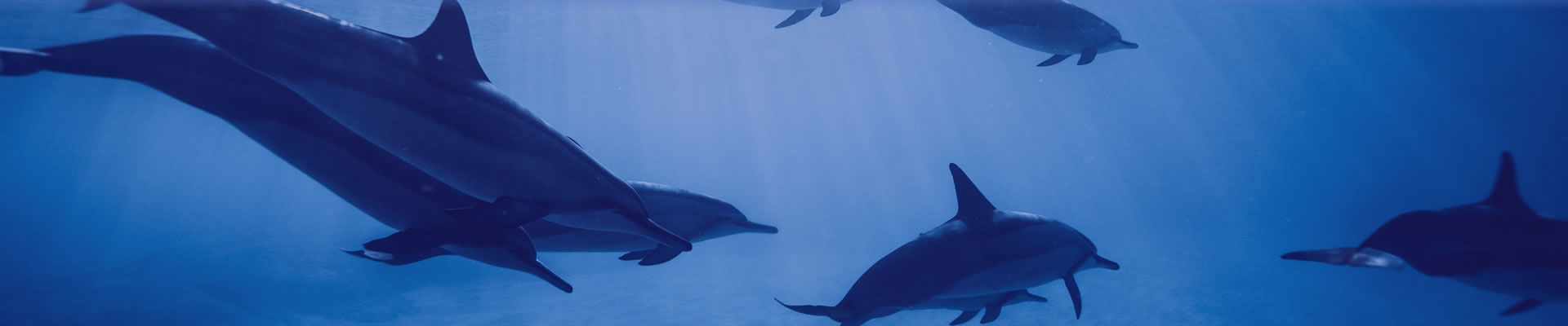 escapadas_banner.jpg