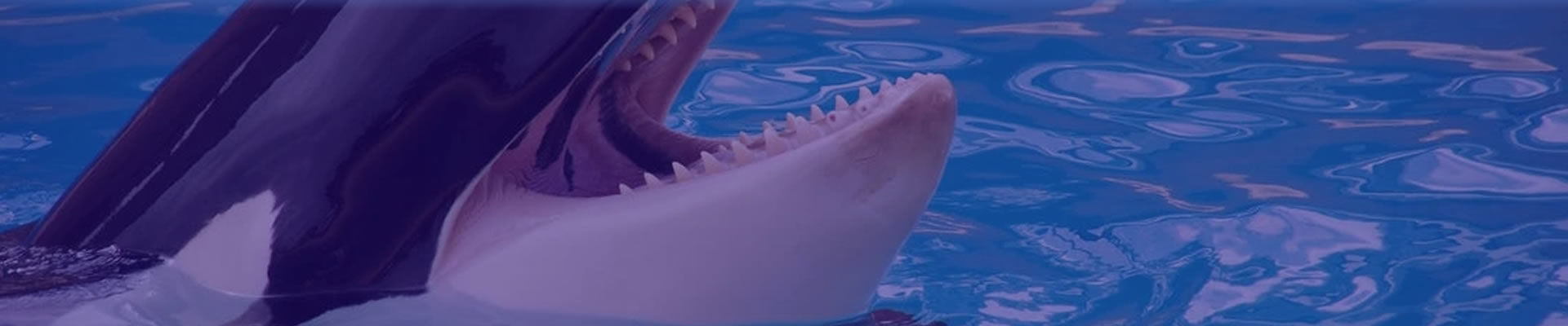 banner_top_informacion.jpg